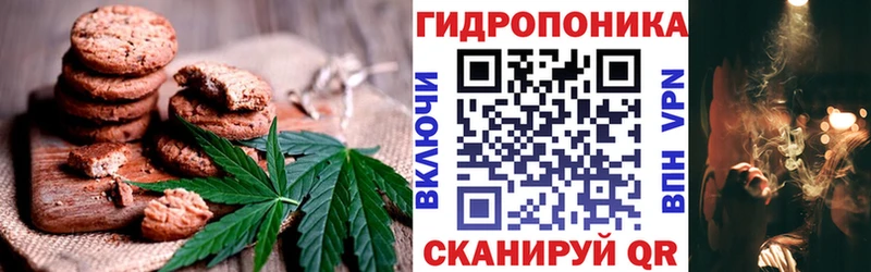 дарнет шоп Хилок Canna-Cookies конопля