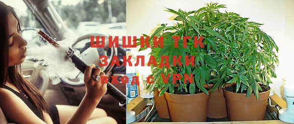 PSILOCYBIN Баксан