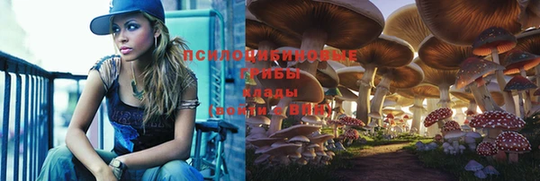 PSILOCYBIN Баксан